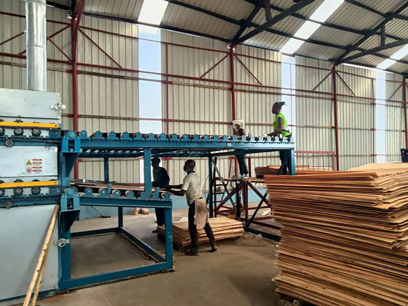 veneer drying